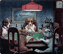 [Dogs Playing Poker]
